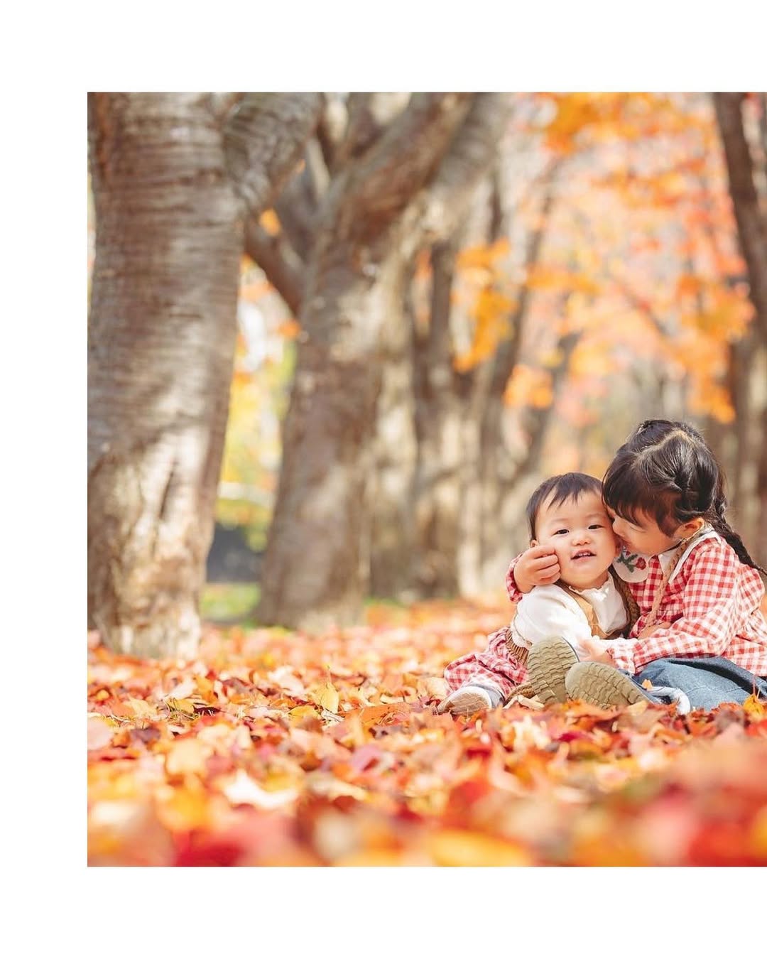 北海道家庭拍攝:Ayan讓愛與幸福定格