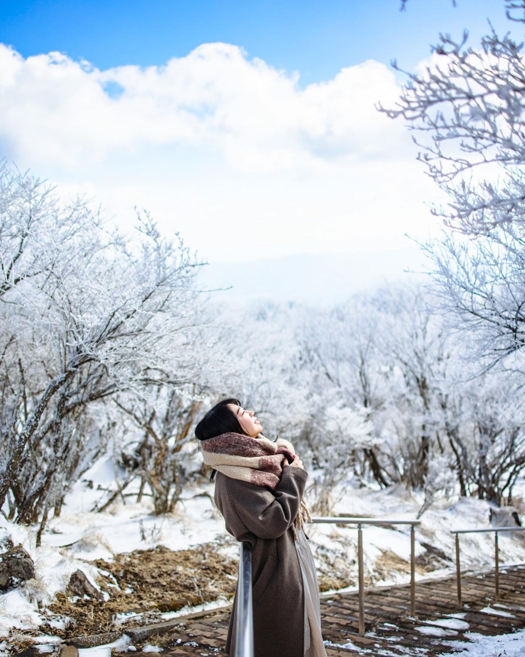 橫濱冬日探秘:Yuriko 帶你發現不一樣的精彩