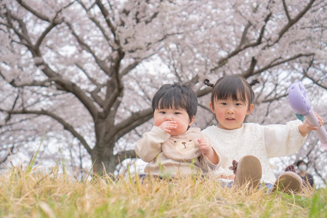 Shi 櫻花魔法:大分家庭攝影歡樂時光
