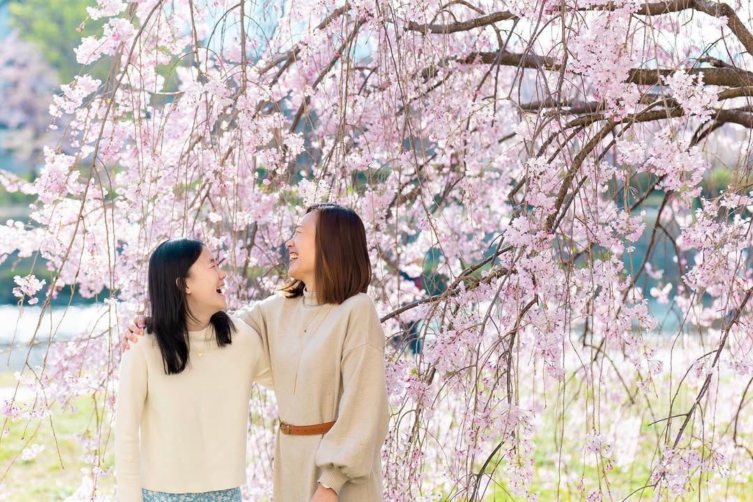 北海道札幌櫻花樹下的家庭時光:Yuko為你捕捉愛的瞬間