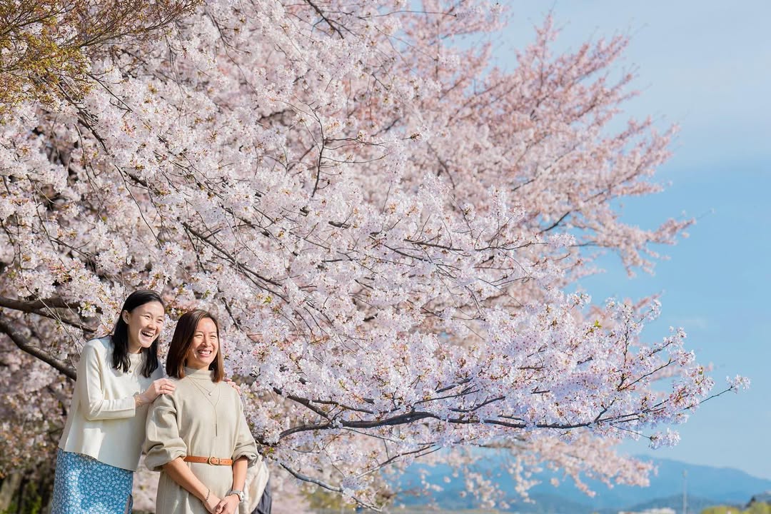 北海道札幌櫻花樹下的家庭時光:Yuko為你捕捉愛的瞬間