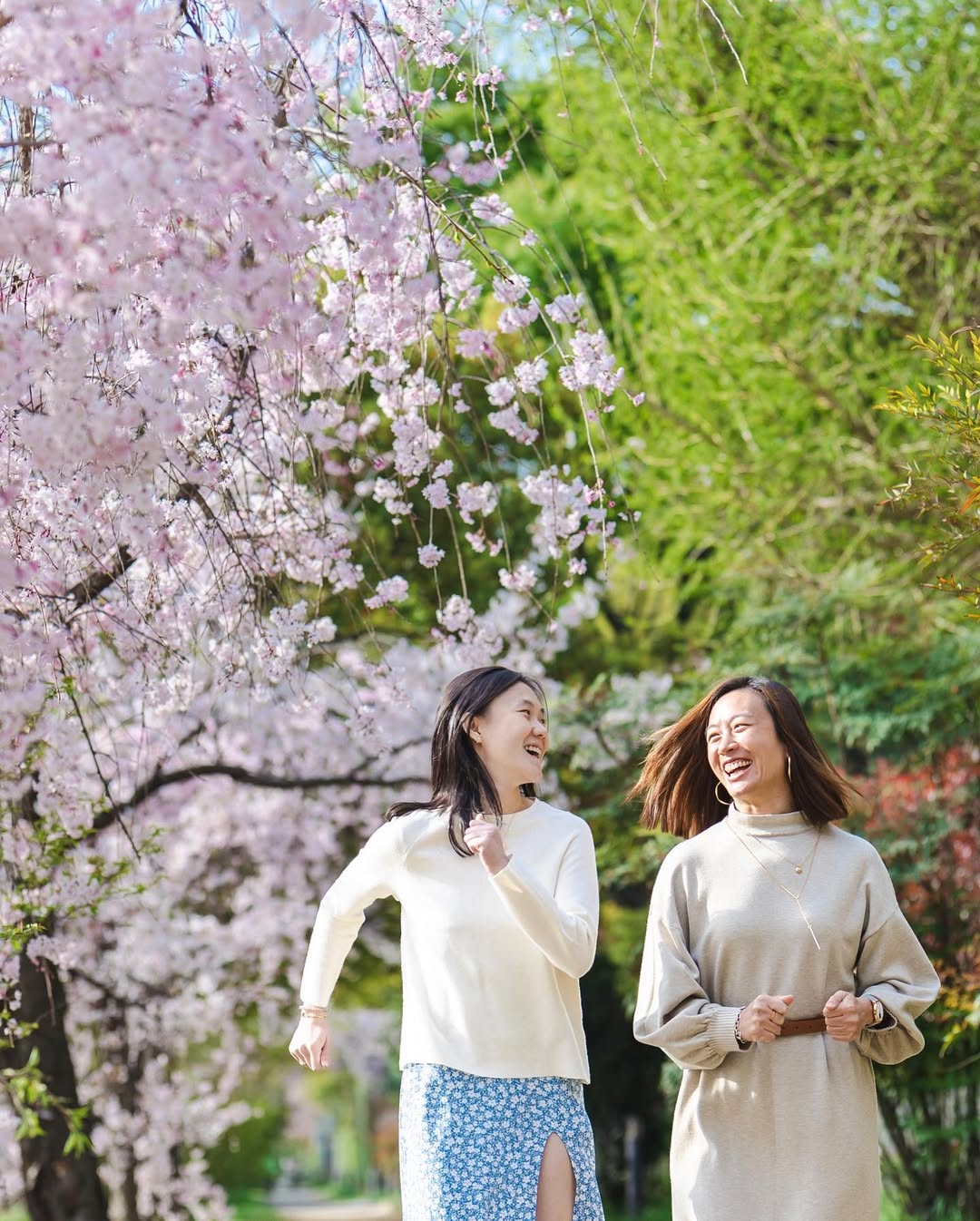 北海道札幌櫻花樹下的家庭時光:Yuko為你捕捉愛的瞬間