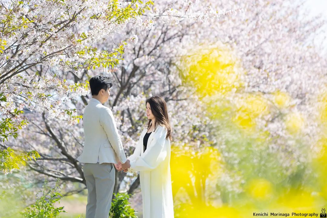 福岡櫻花攝影| 浪漫的專業攝影師日本