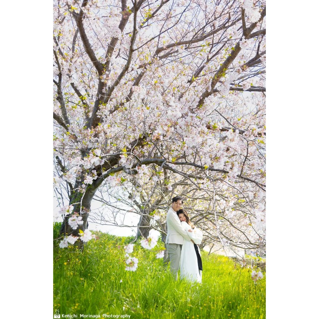 福岡櫻花攝影| 浪漫的專業攝影師日本