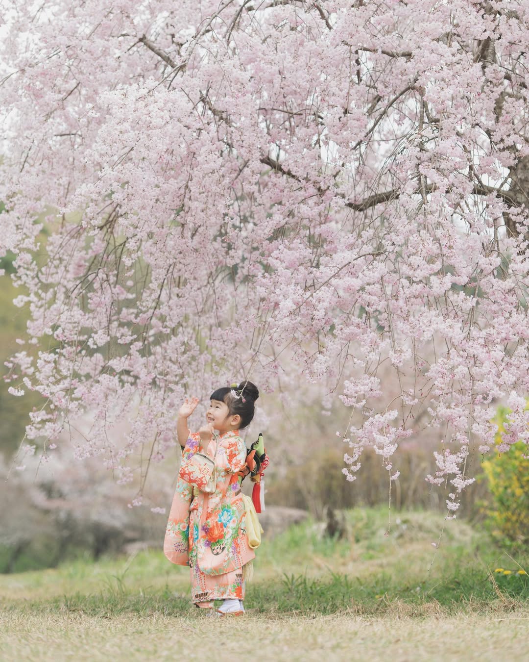 名古屋親子寫真:Akkina鏡頭下的溫馨時光