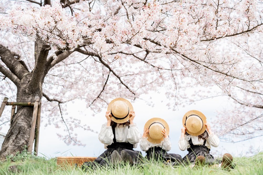 廣島櫻花樹下:Ericka捕捉珍貴家庭時刻