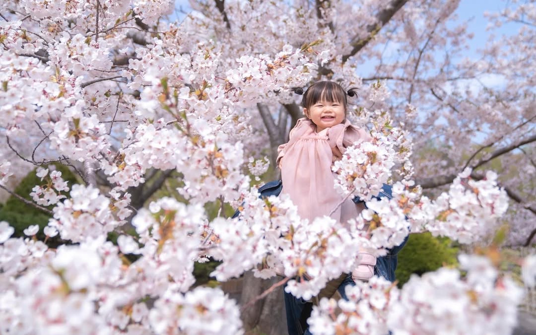 千歲櫻花季,和Toma一起拍全家福吧!