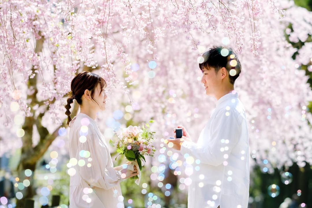 和Mai一起,在金澤留下最美情侶櫻花回憶!
