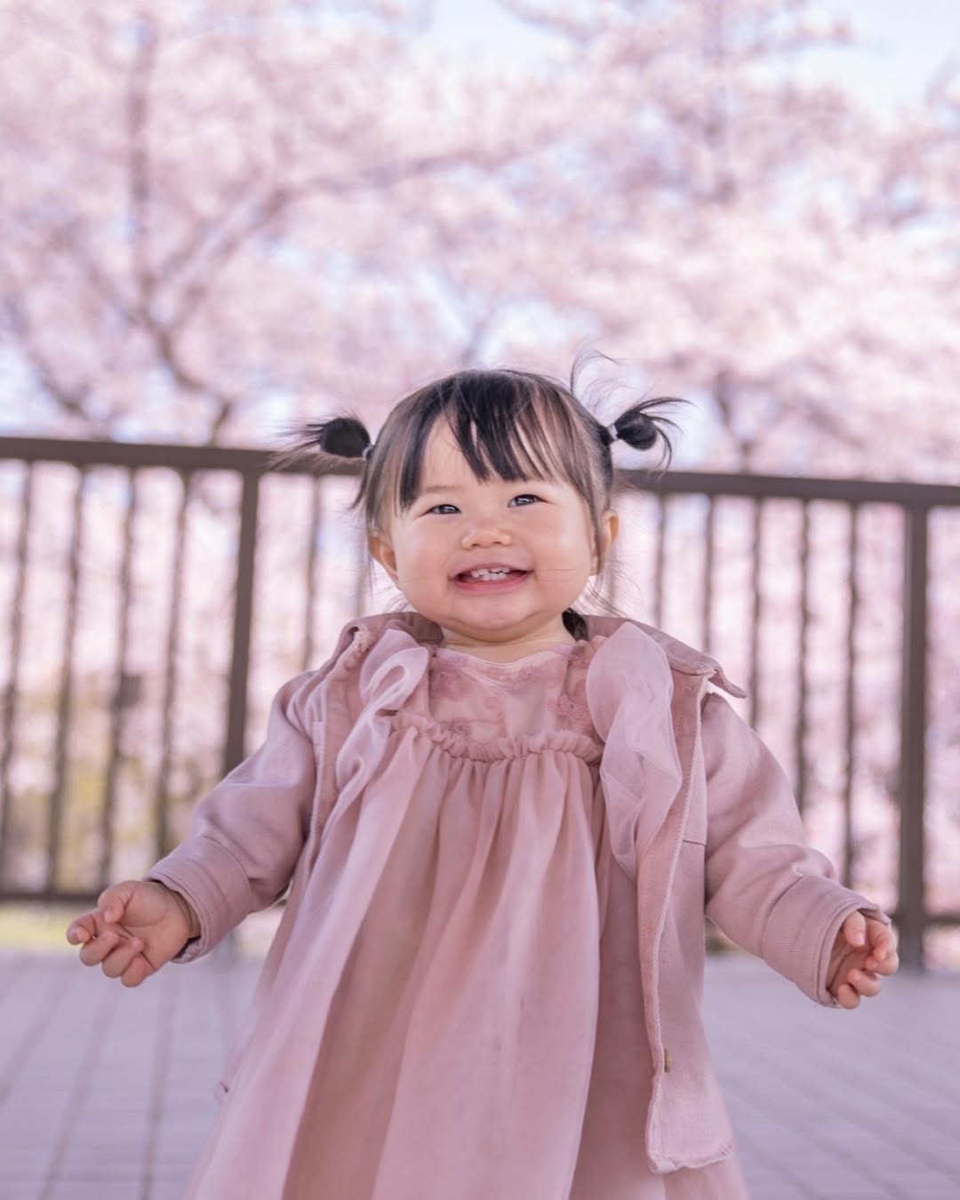 千歲櫻花季,和Toma一起拍全家福吧!