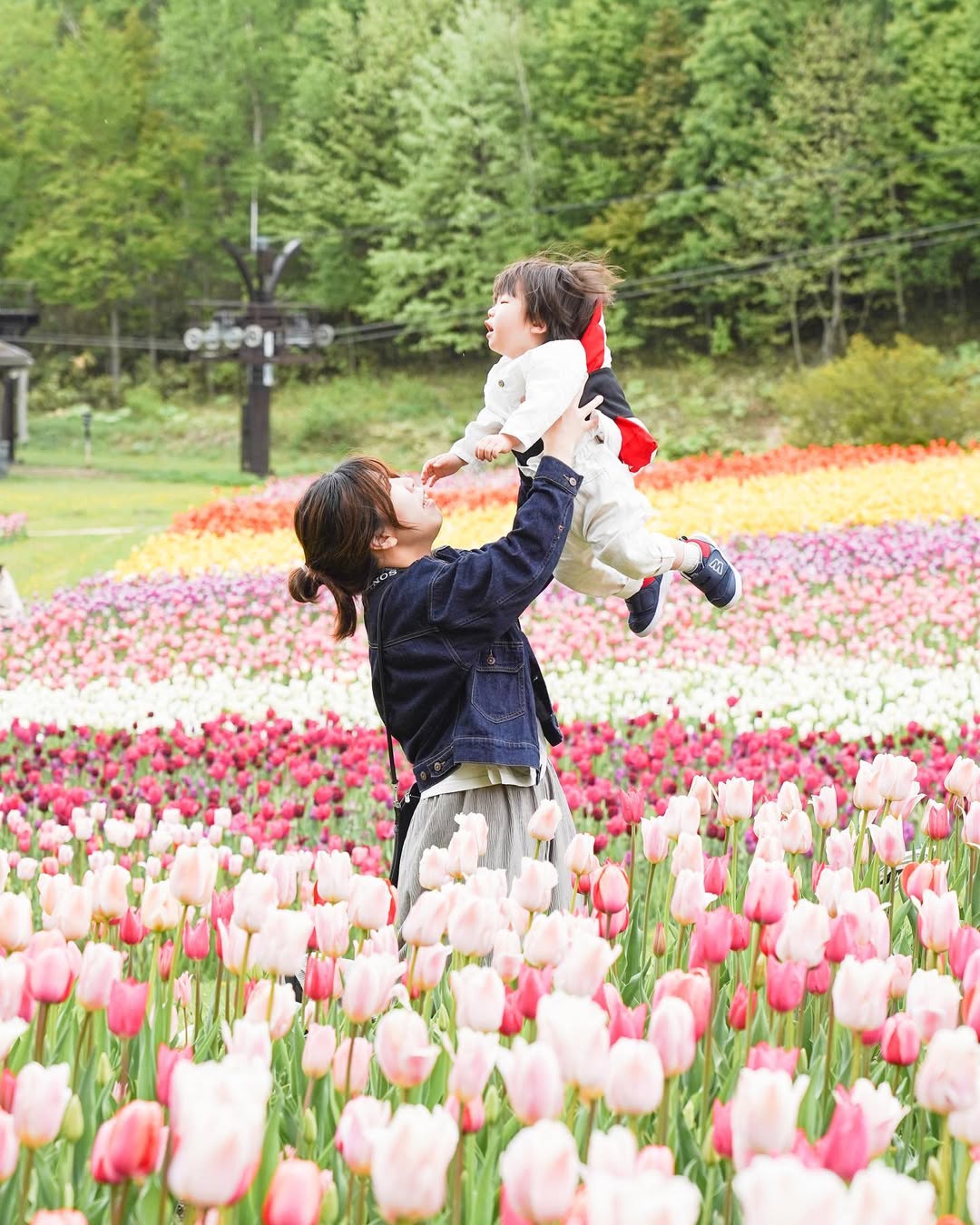 富良野花海全家福:Kiho鏡頭下的溫馨回憶