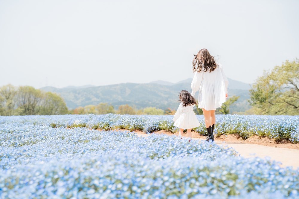 廣島粉蝶花語:Ericka家庭攝影之旅