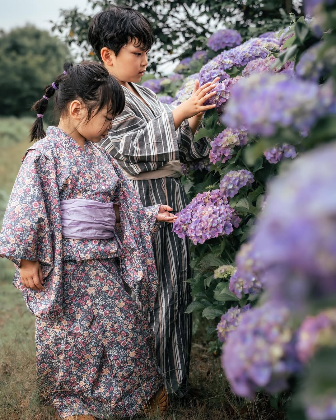 珍藏幸福瞬間:Tabby富山繡球花家庭攝影