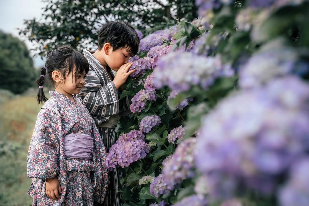 珍藏幸福瞬間:Tabby富山繡球花家庭攝影