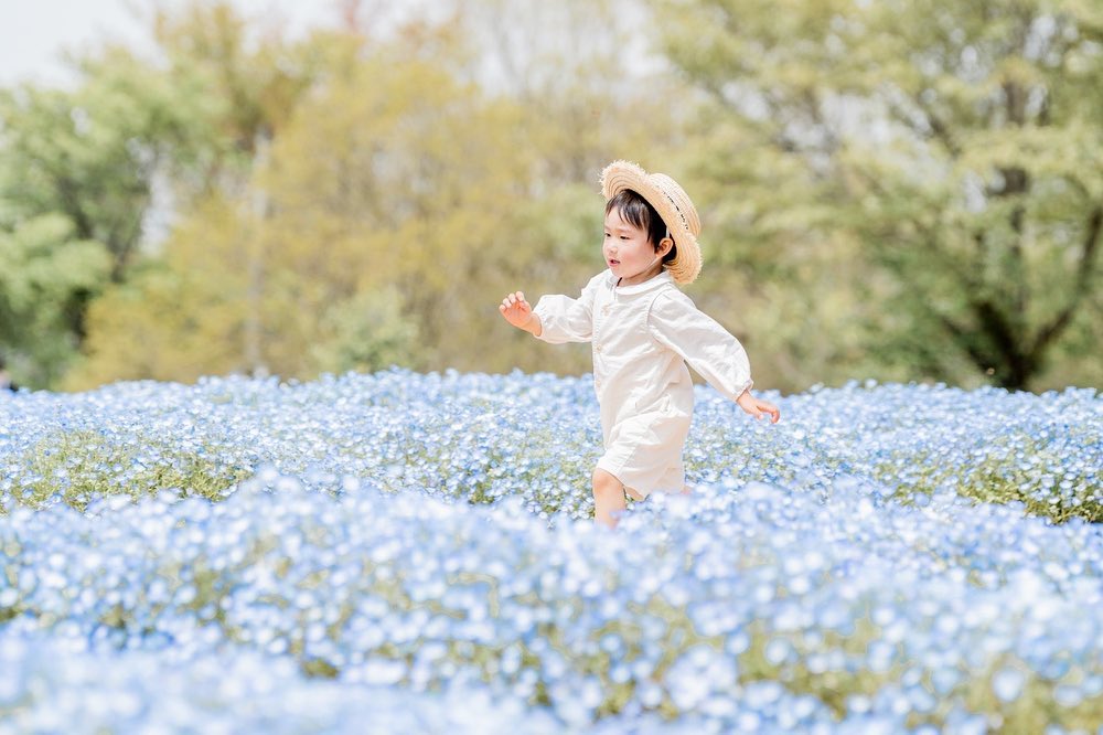 廣島粉蝶花語:Ericka家庭攝影之旅