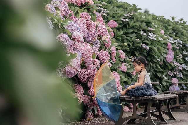 Spring Photoshoot Japan