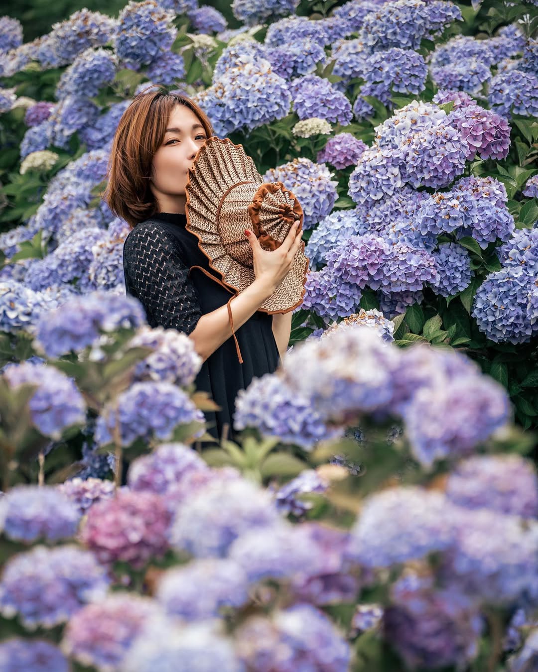 珍藏幸福瞬間:Tabby富山繡球花家庭攝影