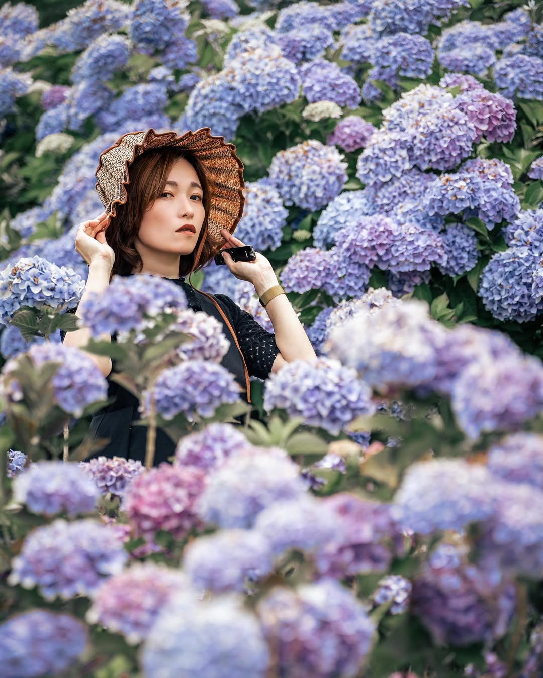 珍藏幸福瞬間:Tabby富山繡球花家庭攝影