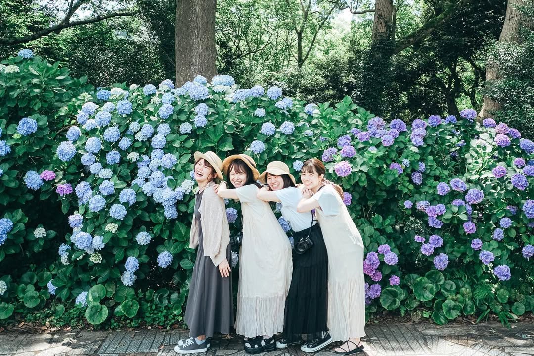 愛在紫陽花盛開時:Kura名古屋浪漫寫真之旅