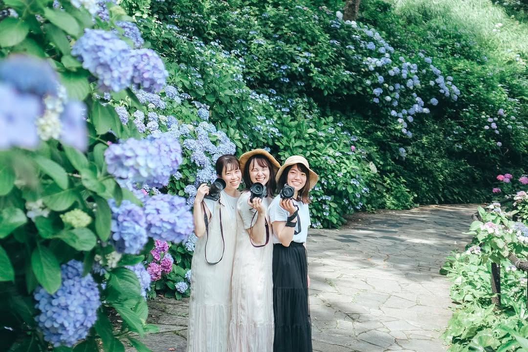 愛在紫陽花盛開時:Kura名古屋浪漫寫真之旅