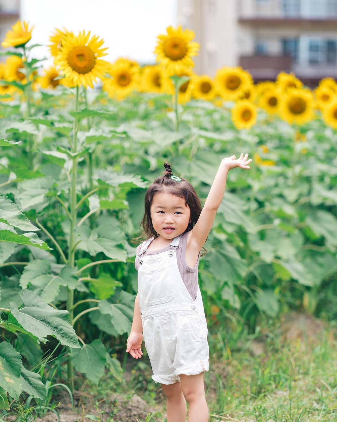 金色家庭時光:滋賀第一琵琶湖岸公園Rena攝影體驗