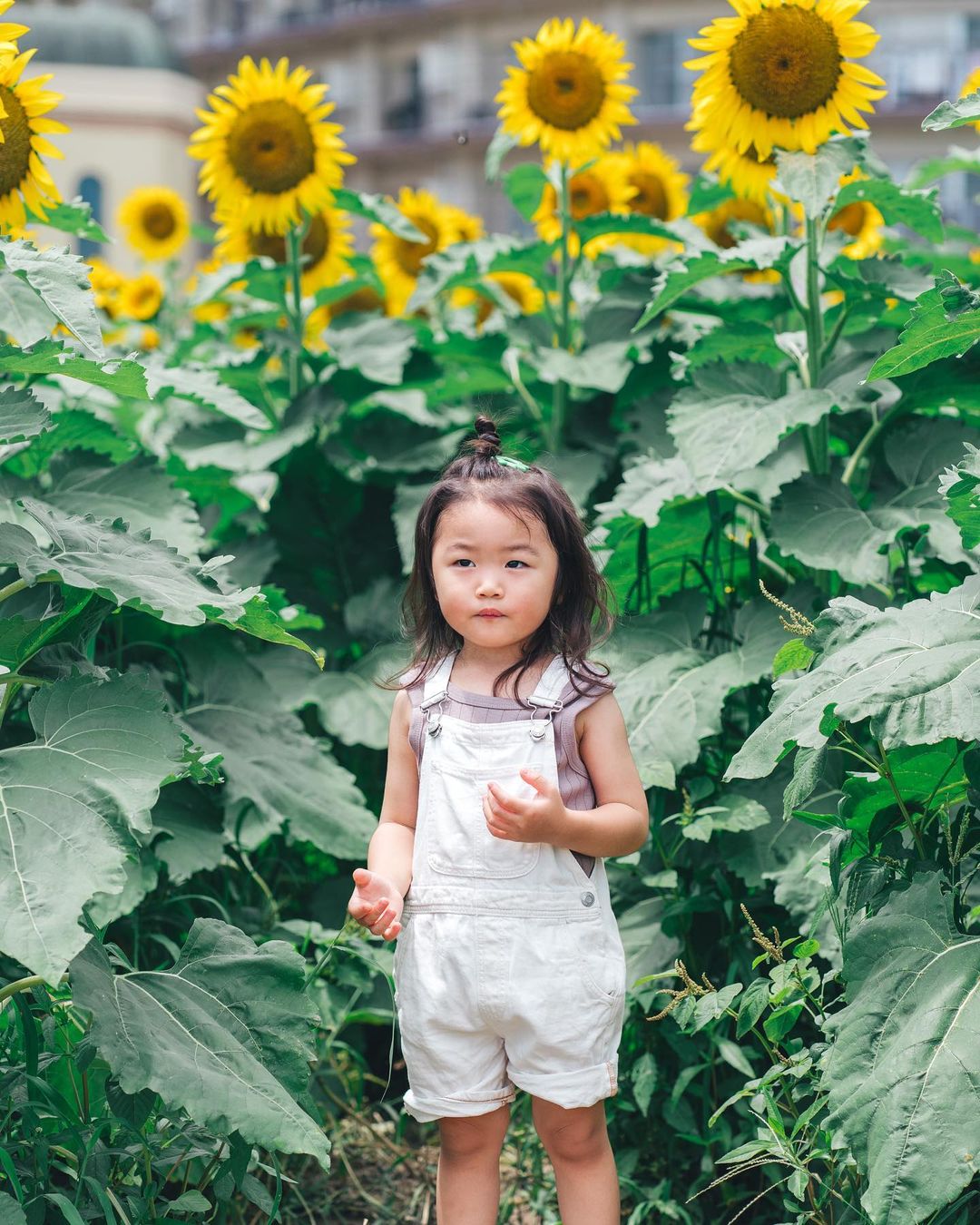 金色家庭時光:滋賀第一琵琶湖岸公園Rena攝影體驗