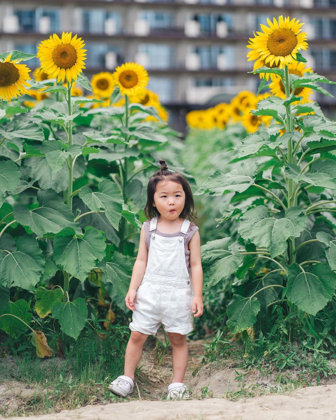 金色家庭時光:滋賀第一琵琶湖岸公園Rena攝影體驗