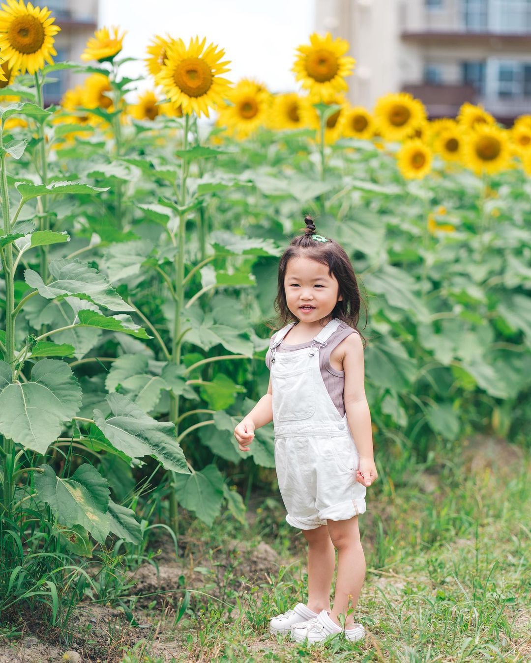 金色家庭時光:滋賀第一琵琶湖岸公園Rena攝影體驗