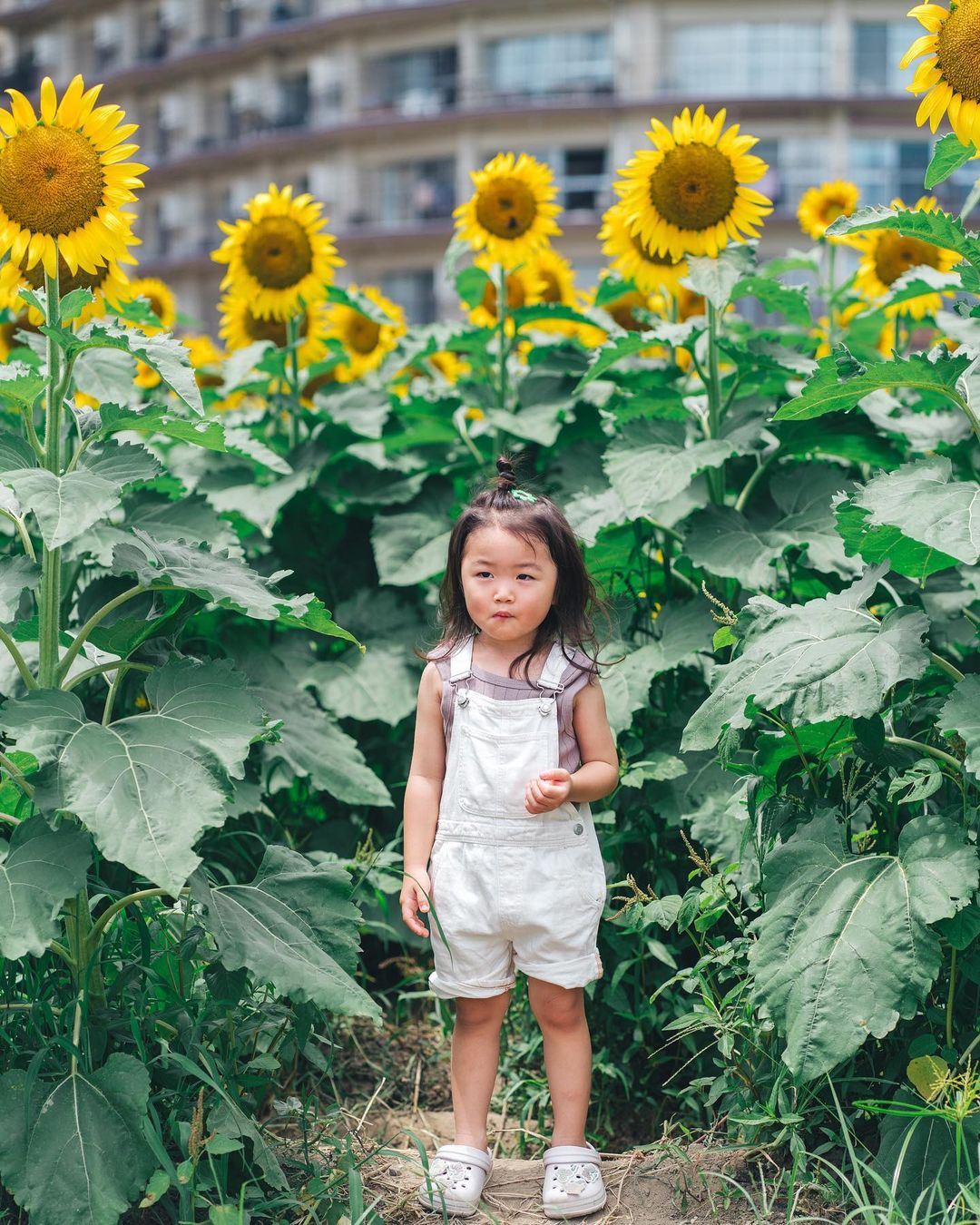 金色家庭時光:滋賀第一琵琶湖岸公園Rena攝影體驗