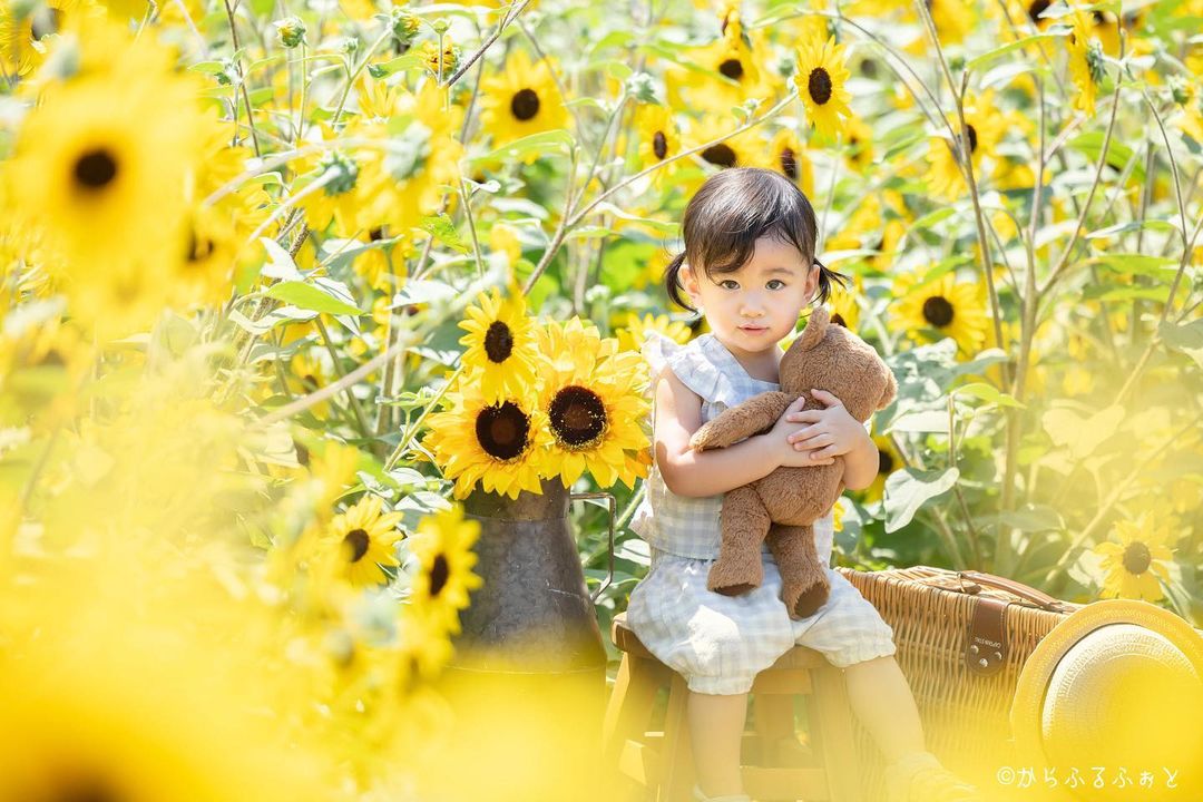 東京精彩瞬間:Chi 戶外家庭攝影體驗