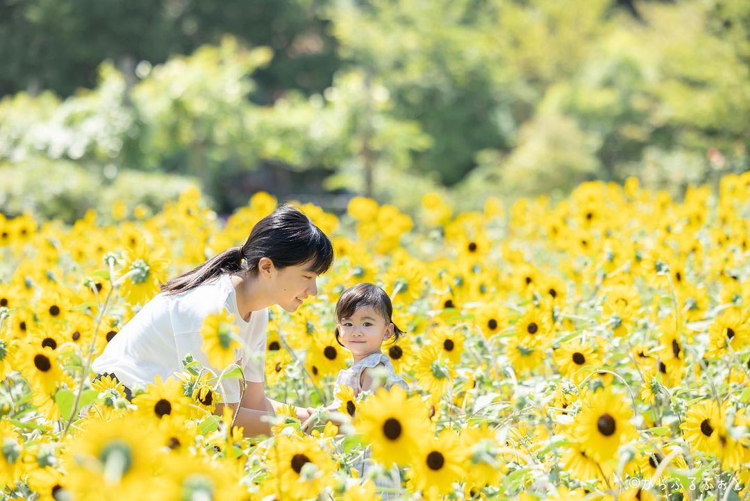 東京精彩瞬間:Chi 戶外家庭攝影體驗