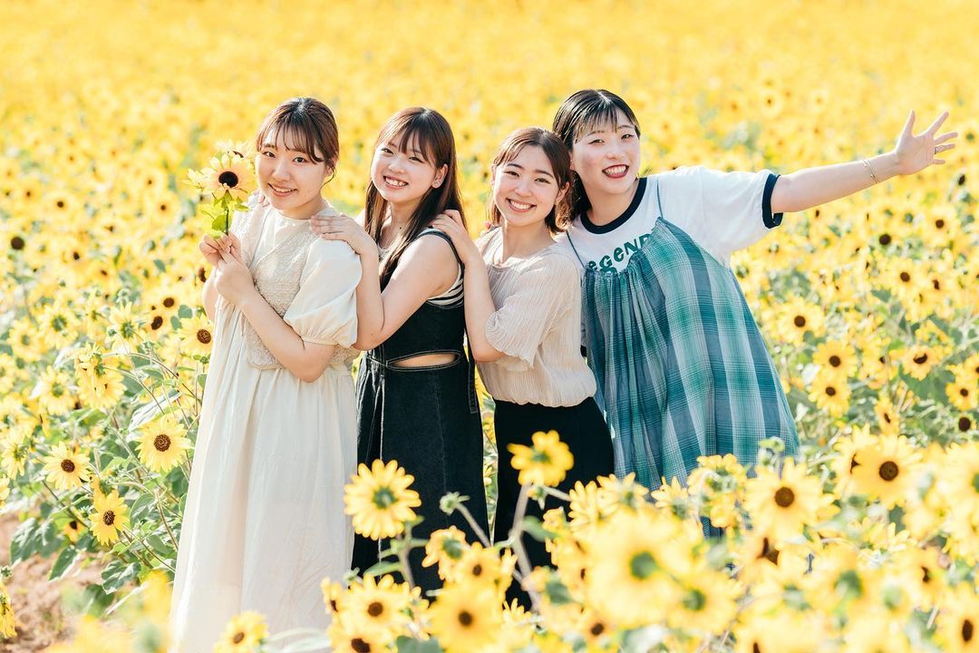 向日葵花海:與Ericka共賞廣島夏日風情