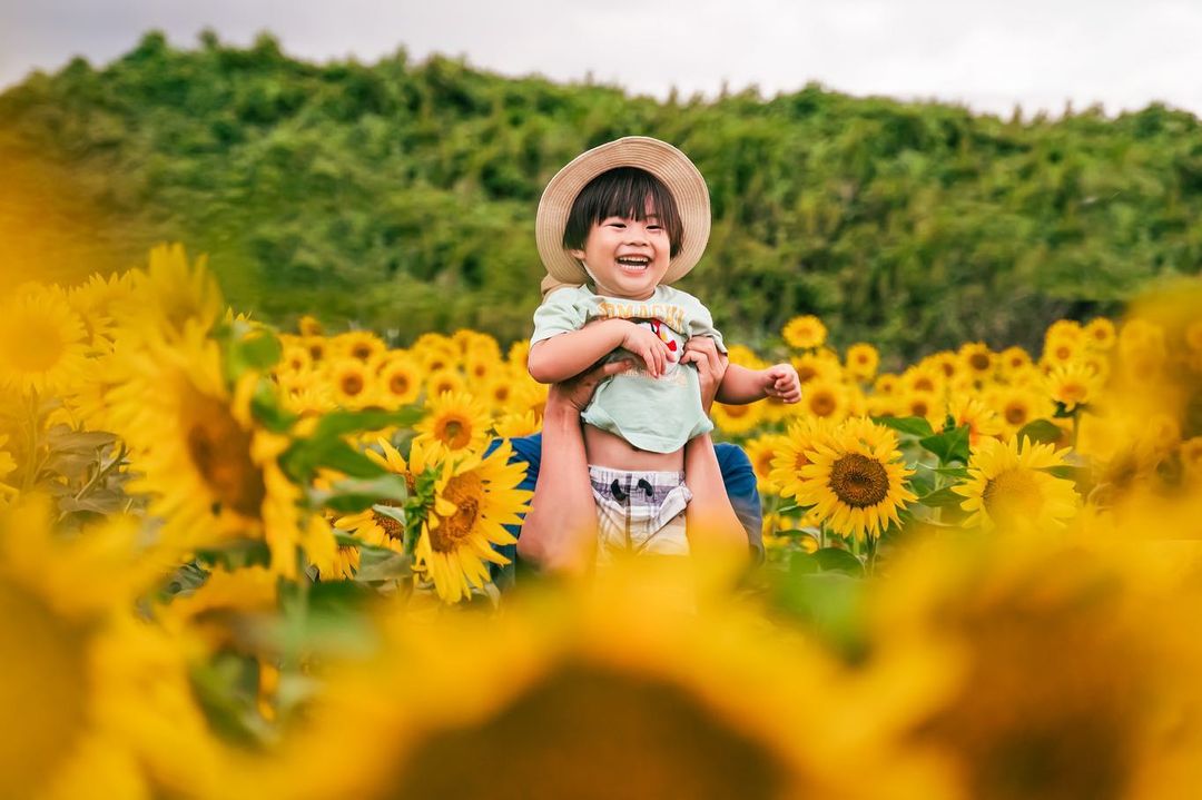 鳥取家庭攝影體驗:Haruhi捕捉的幸福時光