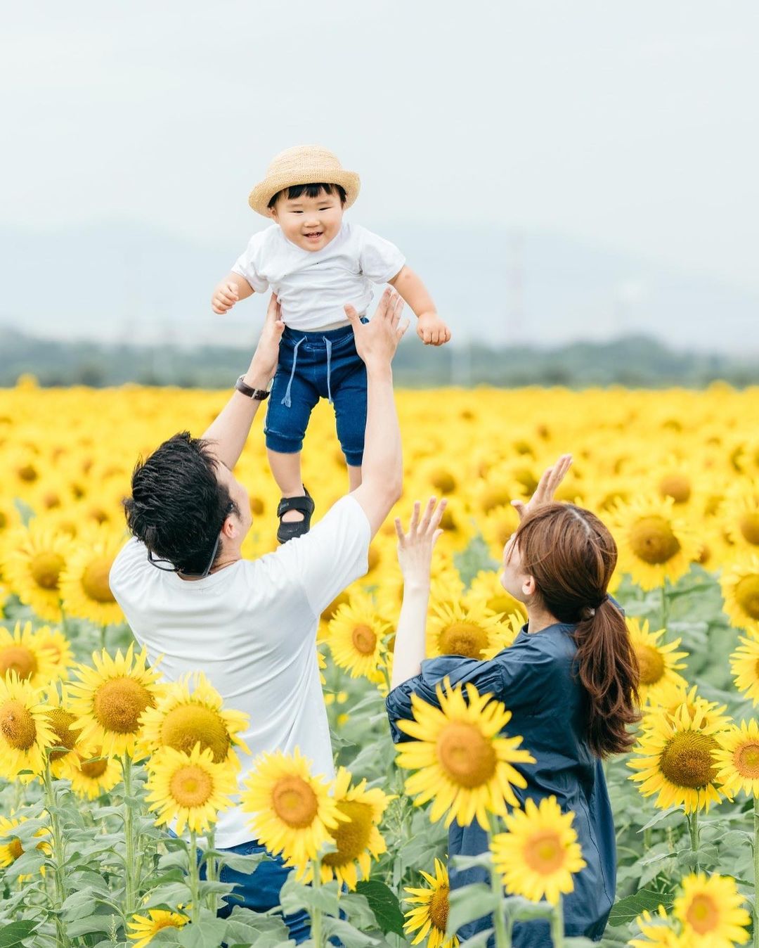 向日葵花海:與Ericka共賞廣島夏日風情
