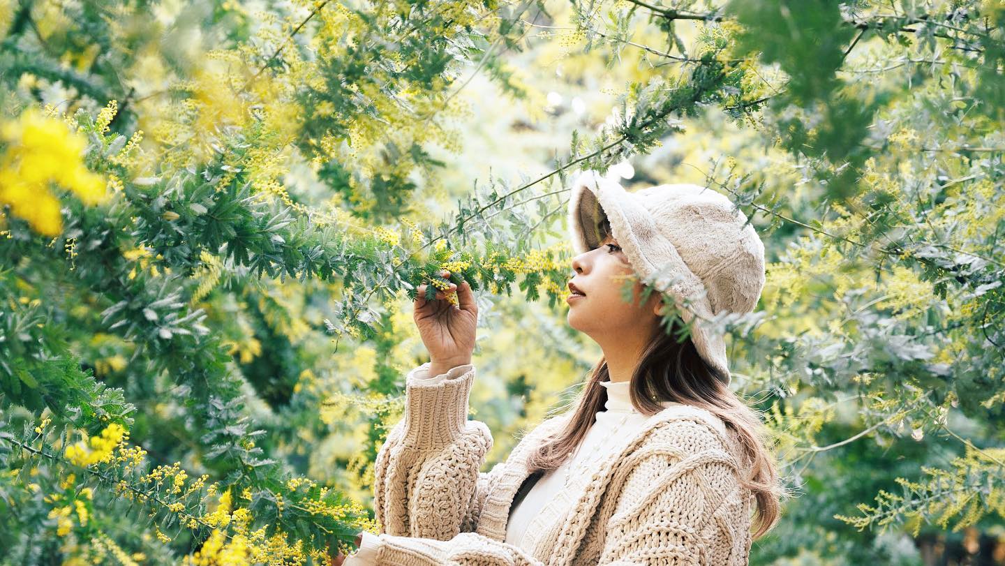 名古屋獨遊探險:與Miu一起捕捉珍貴時刻