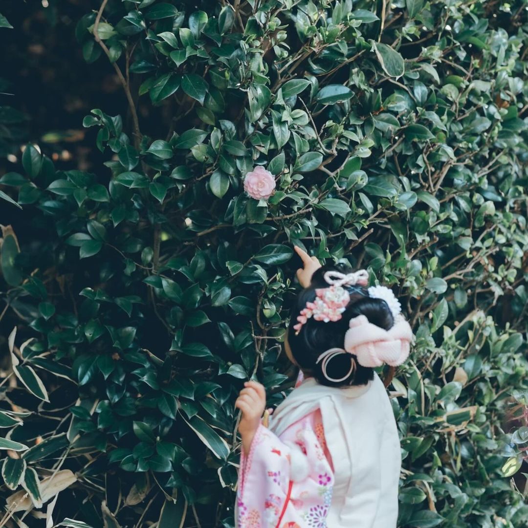 鎌倉和服家庭攝影 | 日本家庭攝影