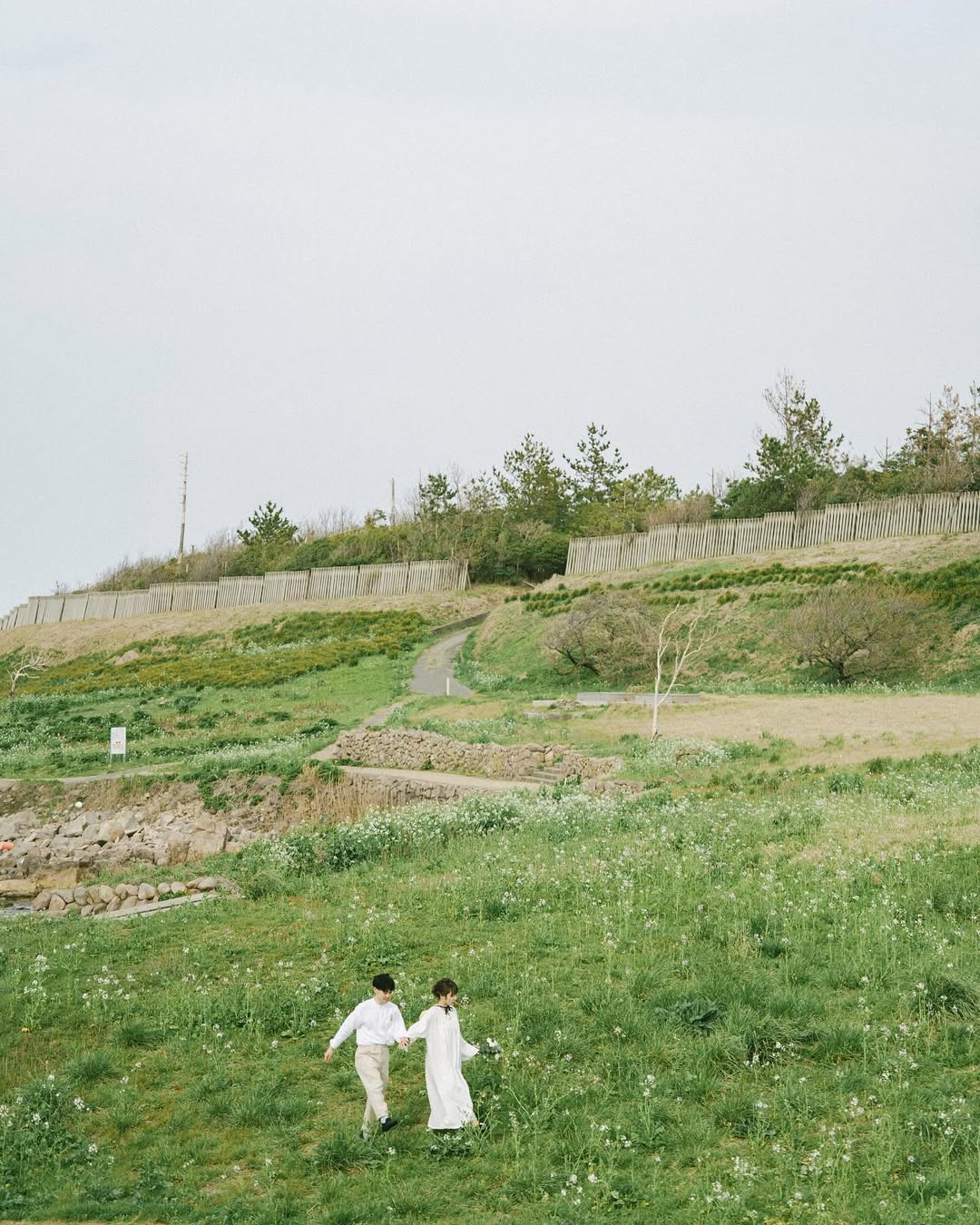 大阪戀愛故事 :讓Arai書寫你們的愛情篇章