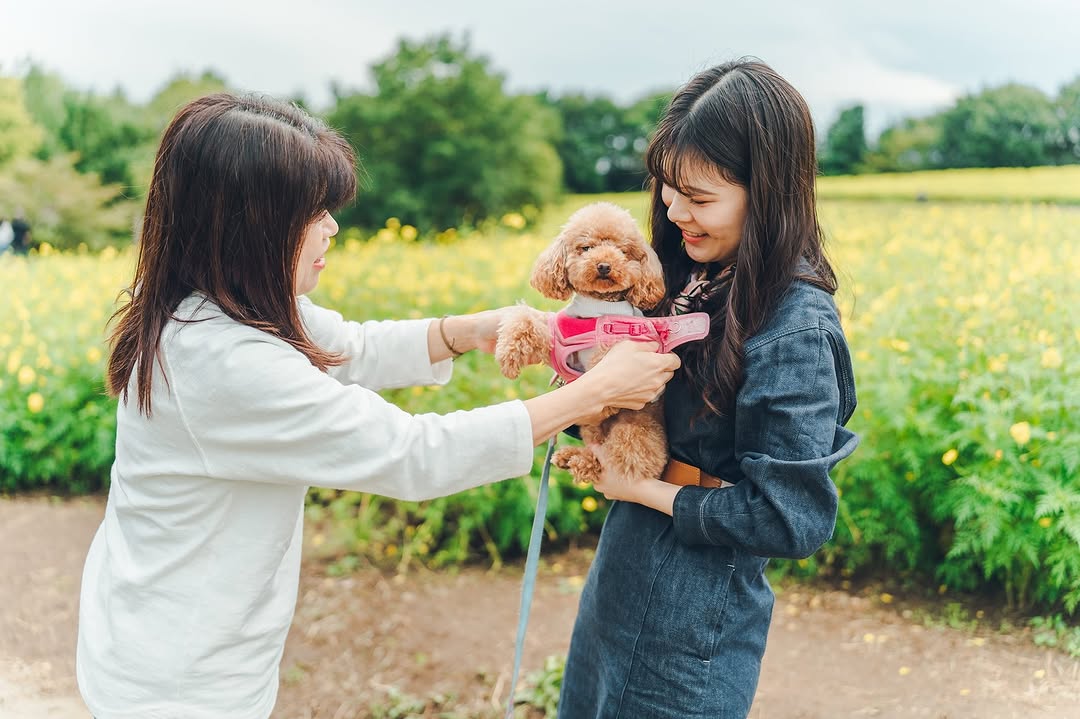 屬於我們的小小世界:Chika 千葉家庭與寵物攝影