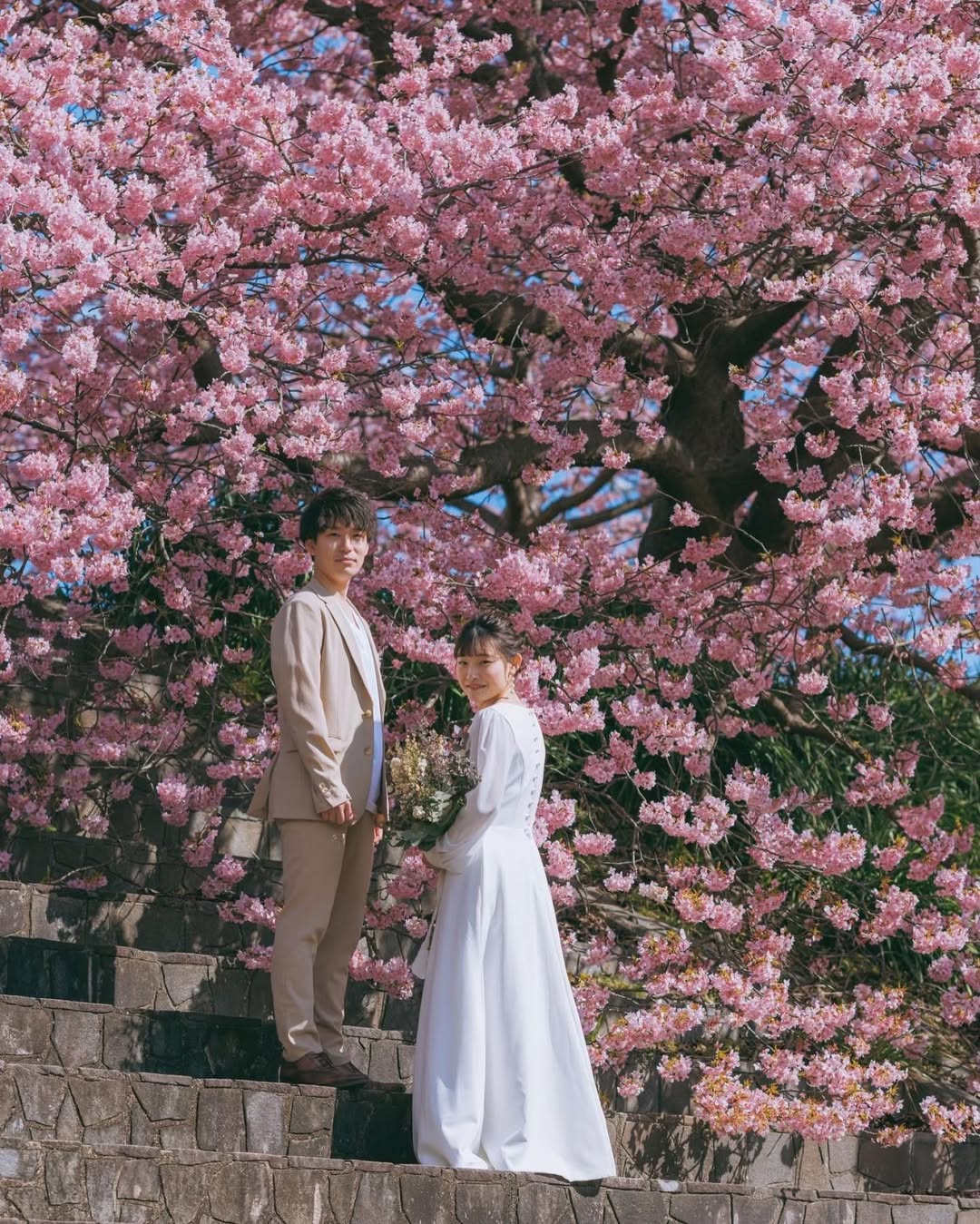 愛在伊豆櫻花季:Tokiya和你一起放閃