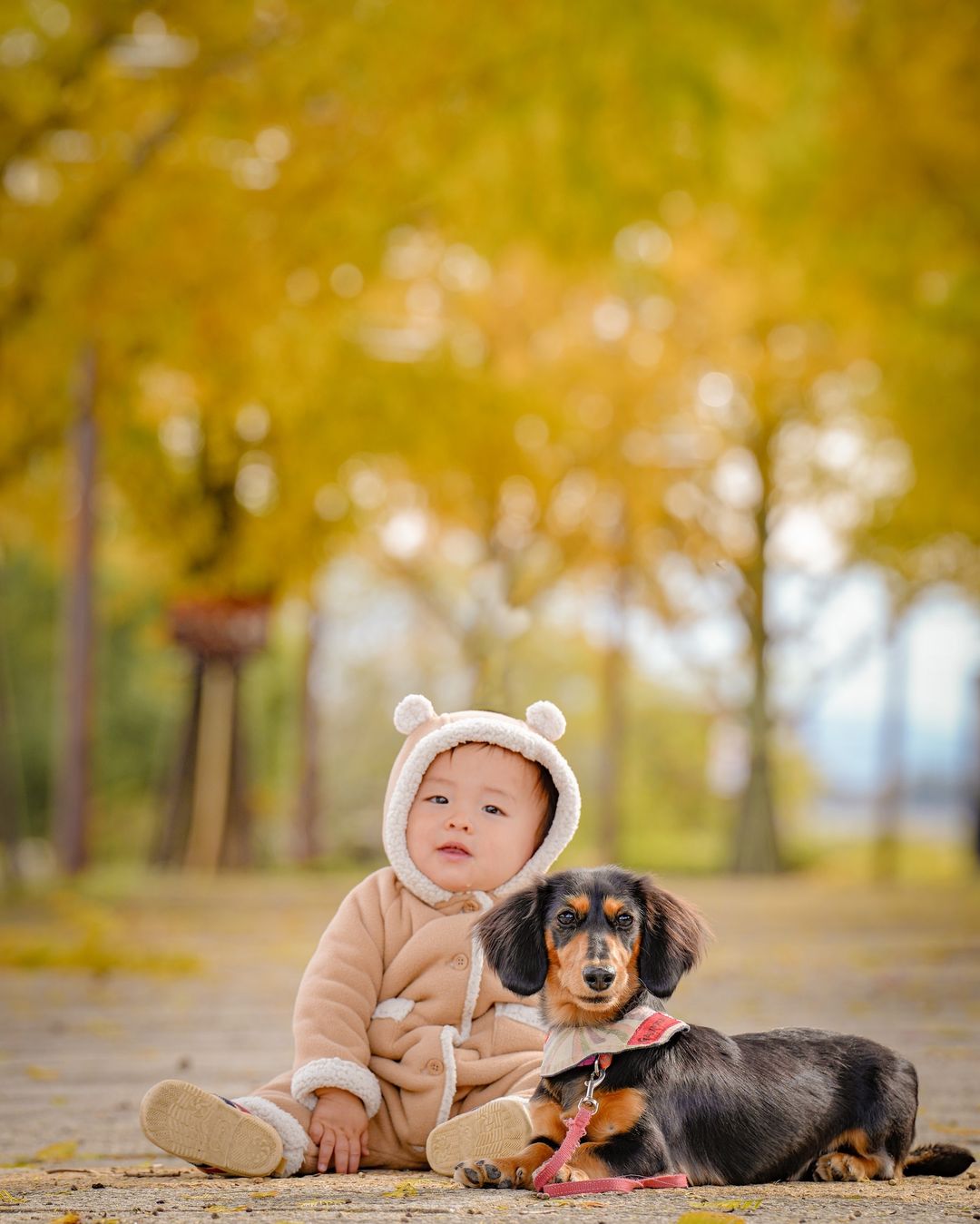 京都限定:Mafie的和風寵物攝影體驗