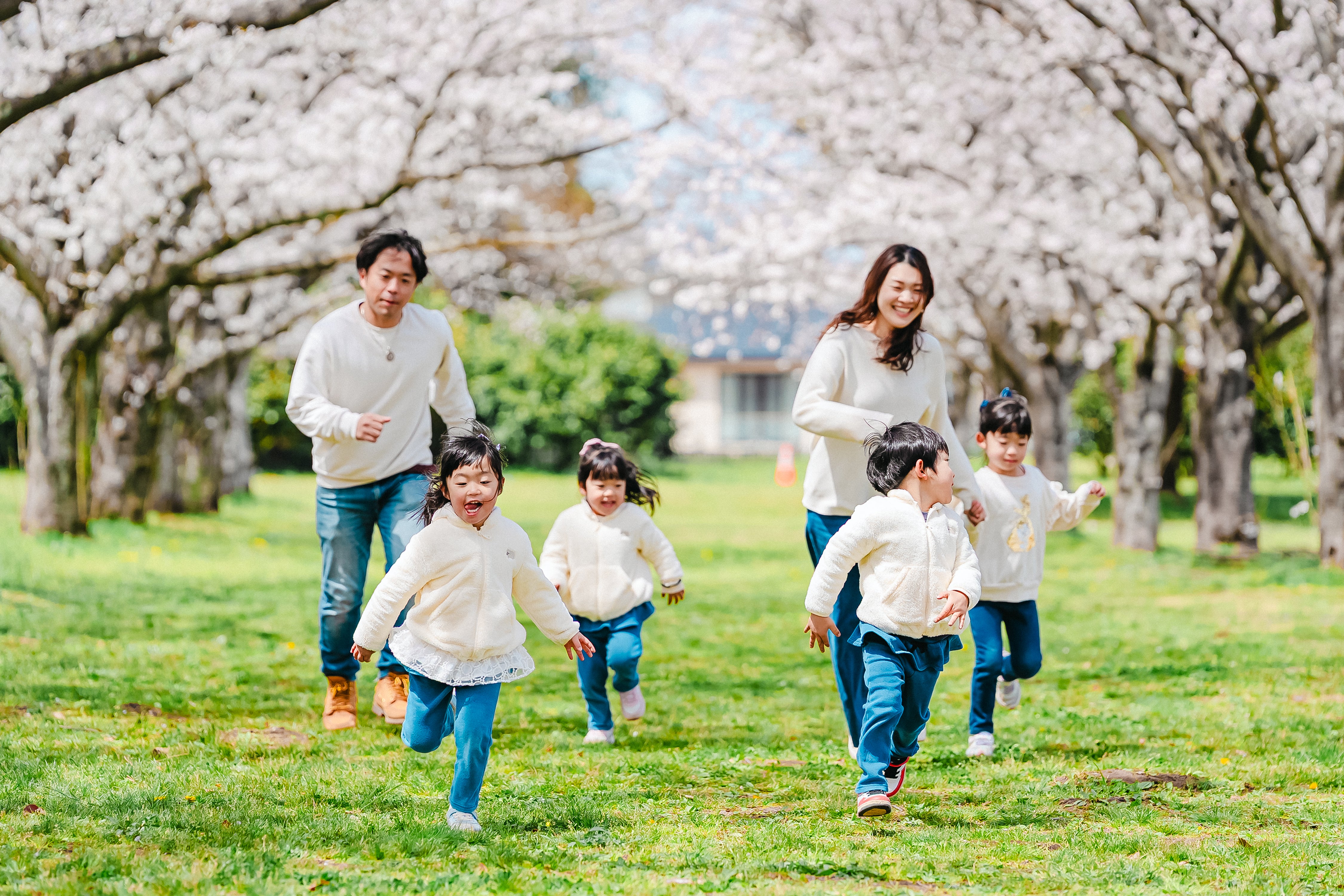 櫻花盛開的福岡時光:與 Ishii 一起留下家庭回憶