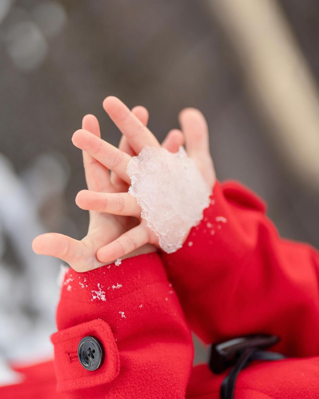 Aiko鏡頭下的雪中嬉戲:奈良親子玩樂記