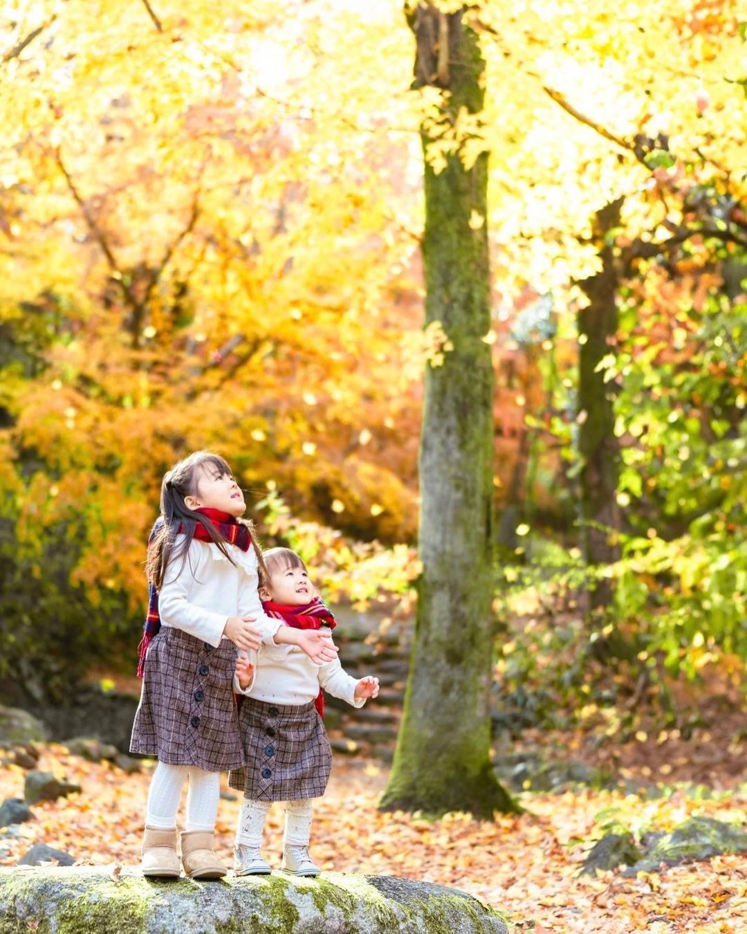 May鏡頭下的大阪:秋日最美全家福,只等你來!