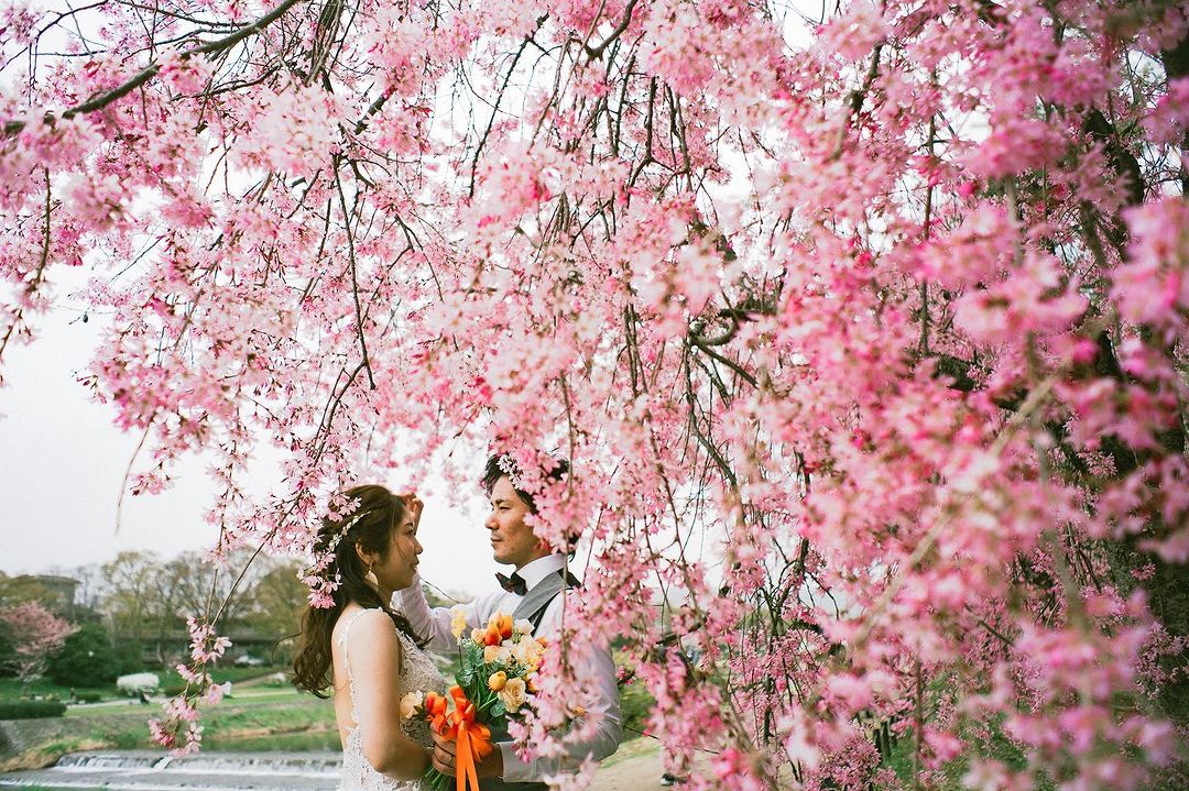 那一刻的京都,一輩子的承諾 : Hiareno鏡頭下的求婚驚喜