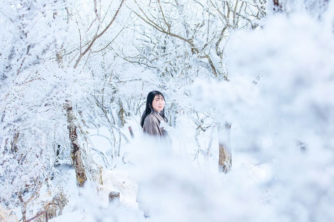 橫濱冬日探秘:Yuriko 帶你發現不一樣的精彩