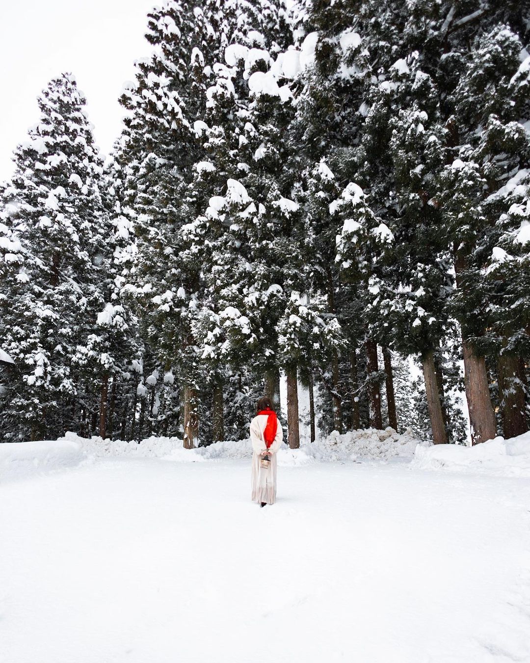 橫濱冬日探秘:Yuriko 帶你發現不一樣的精彩