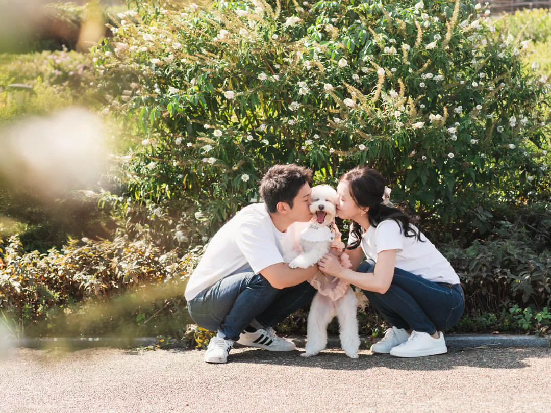 大阪寵物攝影:與Mayu共同捕捉家庭的美好瞬間