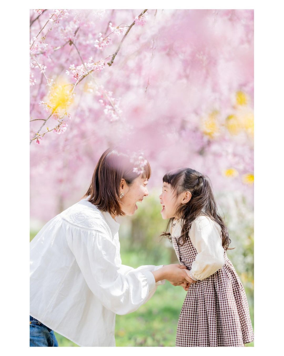 廣島櫻花樹下:Ericka捕捉珍貴家庭時刻