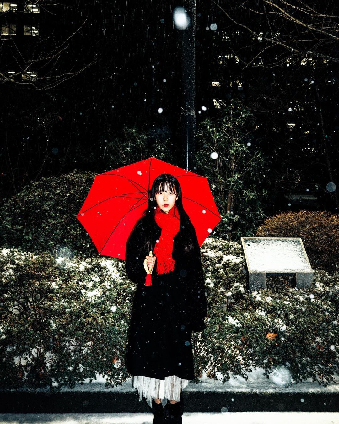 想在仙台留下冬日倩影?Toshi 是你的最佳選擇!