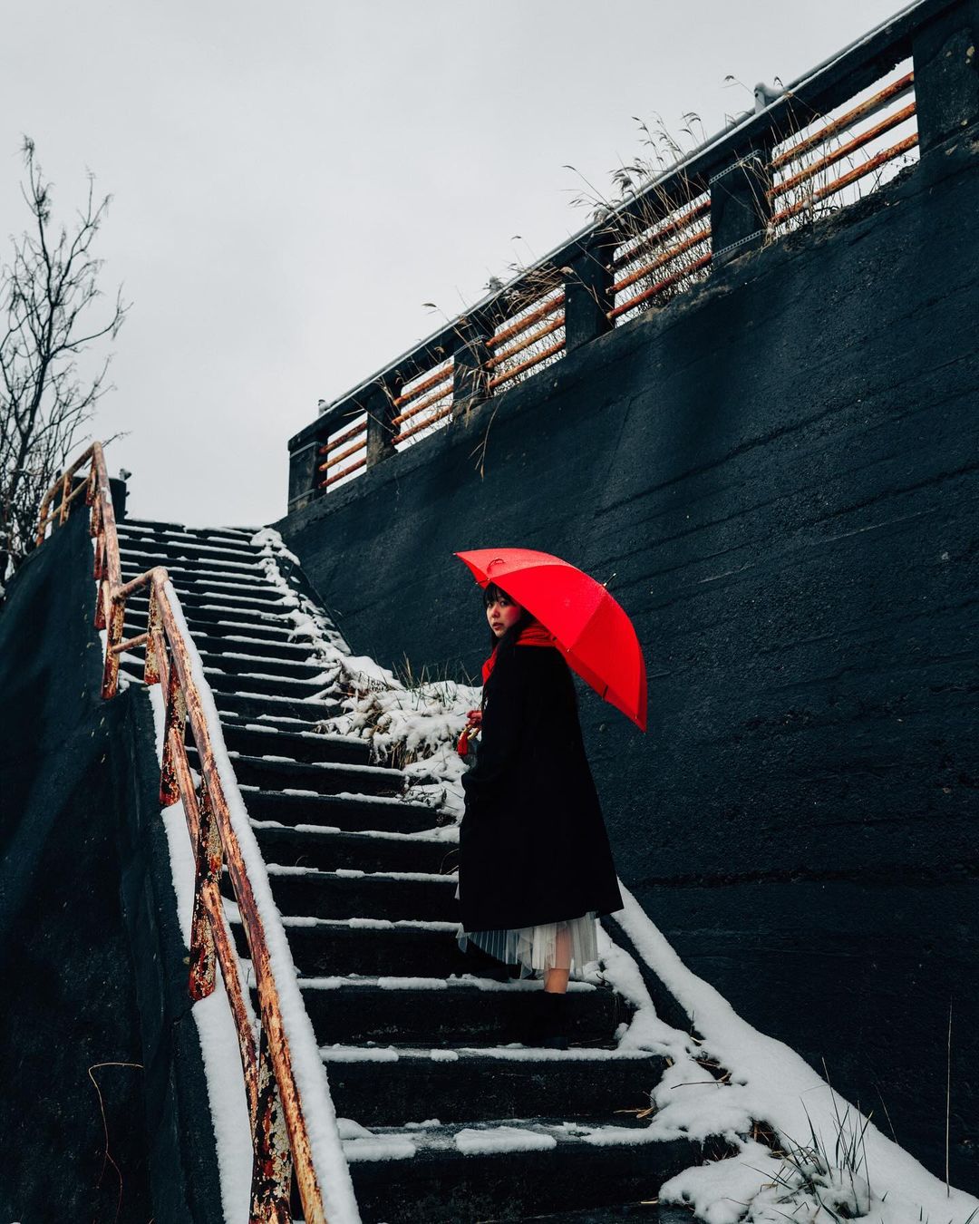 想在仙台留下冬日倩影?Toshi 是你的最佳選擇!