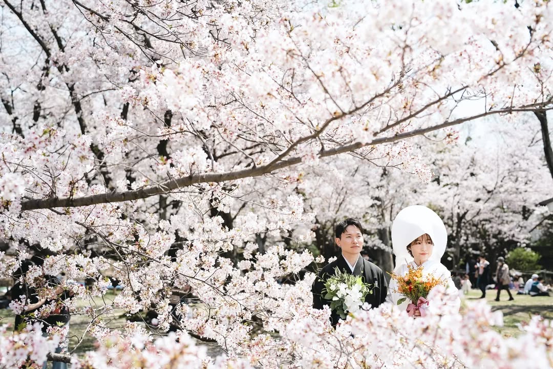 福岡浪漫求婚:Ishii 捕捉你的愛情故事